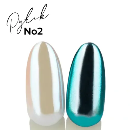 YOSHI PYŁEK MIRROR EFFECT UV LED No 2 0,5 g