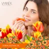 VIANEK ODŻYWCZA Pomadka ochronna z olejem z pestek moreli