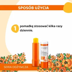 VIANEK ODŻYWCZA Pomadka ochronna z olejem z pestek moreli