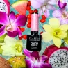 Claresa Lakier hybrydowy Tropical Escape 7 5g