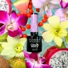 Claresa Lakier hybrydowy Tropical Escape 8 5g