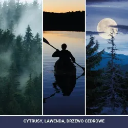 Zawieszki Zapachowe Car Jar® Bonus Pack Midsummer's Night 3-Pak