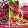 Yankee Candle Car Jar Ultimate Red Raspberry