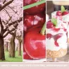 Yankee Candle Pink Cherry & Vanilla Signature Świeca Tumbler 567g