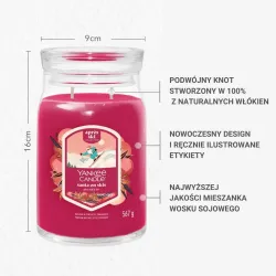 Yankee Candle Signature - Świeca duża SANTA ON SKIS