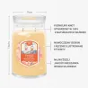 Yankee Candle Signature - Świeca Duża SLOPESIDE SPRITZ
