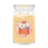 Yankee Candle Signature - Świeca Duża SLOPESIDE SPRITZ