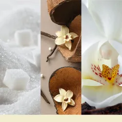 Yankee Candle Signature - Świeca średnia VANILLA FLURRIES