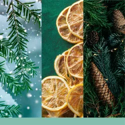 Yankee Candle Signature Świeca Średnia HOLIDAY WINTERFEST