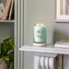 Yankee Candle Signature Świeca Zapachowa Duża Aloe & Agave 567g