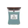 WoodWick Evergreen Cashmere Średnia Świeca 275g