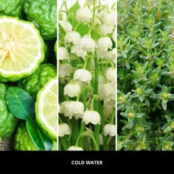 Millefiori Milano ARIA uzupełniacz COLD WATER - uzupełniacz do odświeżacza