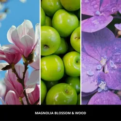 Millefiori Milano ARIA uzupełniacz MAGNOLIA BLOOSOM&WOOD - uzupełniacz do odświeżacza