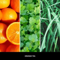 Millefiori Milano ARIA uzupełniacz ORANGE TEA - uzupełniacz do odświeżacza