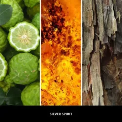 Millefiori Milano ARIA uzupełniacz SILVER SPIRIT - uzupełniacz do odświeżacza