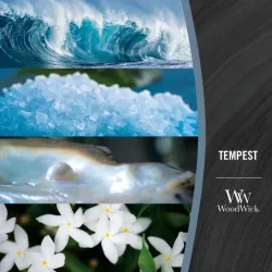 WOODWICK Świeca Ozdobna  Eipsa TEMPEST z Drewnianym Knotem 453,6g