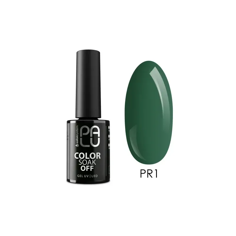 PALU Lakier hybrydowy Prague PR1 -11g
