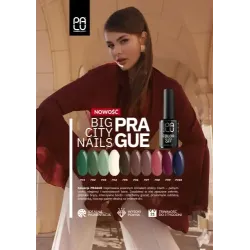 PALU Lakier hybrydowy Prague PR10 -11g