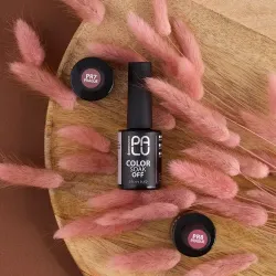 PALU Lakier hybrydowy Prague PR7 -11g