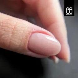 PALU Lakier hybrydowy Roma RO12 -11g