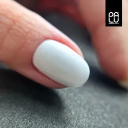 PALU Lakier hybrydowy Roma RO2 -11g