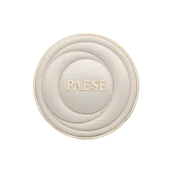 PAESE SELFGLOW kremowy rozświetlacz z efektem tafli 8g