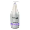 STAPIZ Szampon Sleek Line VIOLET BLOND - Szampon neutralizujący do włosów blond 1000 ml