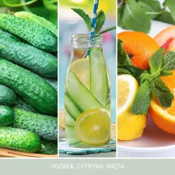 Yankee Candle Signature Cucumber Mint Cooler  - Świeca Średnia 368g