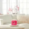 Yankee Candle Signature RED RASPBERRY  - Świeca Średnia 368g