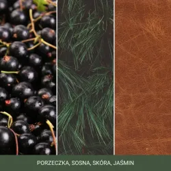 Yankee Candle Signature SILVER SAGE & PINE  - Świeca Średnia 368g