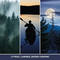 Yankee Candle Signature Midsummer's Night duża świeca z dwoma knotami 368g