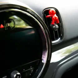 MR&MRS GIGI MUSCAT GRAPE - Odświeżacz do samochodu