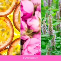 MR&MRS GIGI PASSION FRUIT - Odświeżacz do samochodu