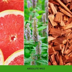 MR&MRS ANDY&FRIDA Absolute Wild  - Odświeżacz do samochodu