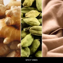 MR&MRS ANDY&FRIDA SPICY VIBES - Odświeżacz do samochodu