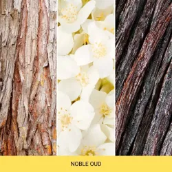 MR&MRS CESARE Noble Oud - Odświeżacz do samochodu