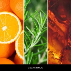 MR&MRS  CESARE CARDS CEDAR WOOD - Zawieszka zapachowa