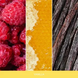 MR&MRS  CESARE CARDS VANILLA - Zawieszka zapachowa