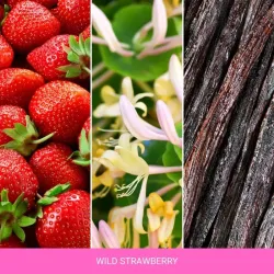 MR&MRS GIGI WILD STRAWBERRY - Odświeżacz do samochodu