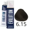Alfaparf Milano Evolution of Color, farba do włosów nr 6.15 - 60ml