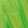 DNKA Color Gel Polish 0007 Cats Eye 80s - Lakier hybrydowy 12ml