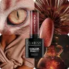 Claresa Lakier hybrydowy CAT EYE BROWN 5g