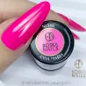 Lakier Hybrydowy Divine Anna Maria no 346 Boska Nails 6 ml