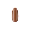 Lakier Hybrydowy Good Day Oak Tree no 377 Boska Nails 6 ml