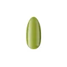 Lakier Hybrydowy Good Day Green Leaf no 389 Boska Nails 6 ml