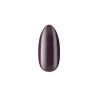 Lakier Hybrydowy Autumn Date Good Man no 433 Boska Nails 6 ml