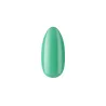Lakier Hybrydowy Evee Kivi  no 455  Boska Nails 6 ml