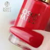 Lakier Klasyczny do paznokci Redina no 668 Boska Nails Nail Polish 9 ml