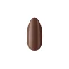 Lakier hybrydowy Coffee Dream Dip House Coffee no 573 Boska Nails 6 ml