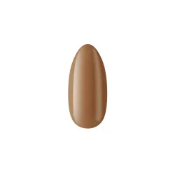 Lakier hybrydowy Autumn Drink Virtual Chat no 579 Boska Nails 6 ml